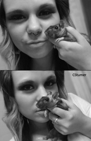 CStumer